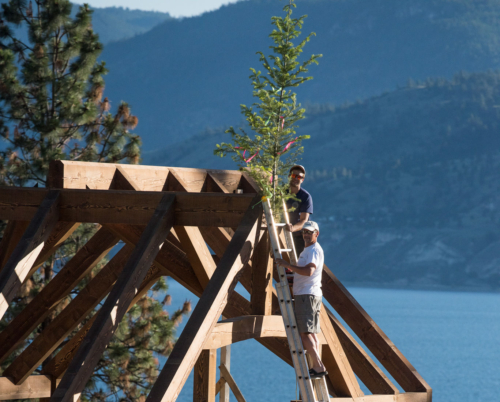 Why BC Douglas Fir Makes The Best Timber Frames